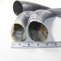 4 Raw Unfinished Cow Horns #5630 Natural Colored