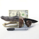 Alligator Head Handle Obsidian Blade Ornamental Knife #4v42 Mountain Man Knife