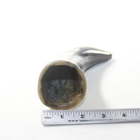 1 Small Polished Cow Horn #363-2 Natural Colored