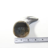 1 Small Polished Cow Horn #363-2 Natural Colored