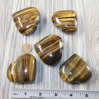 5 Tiger Eye Hearts Combined Weight of  462 Grams #9243 Gemstone Hearts