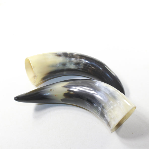 2 Polished Cow Horns #1241 Natural colored
