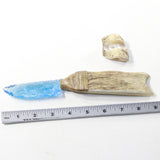 Moose Antler Handle Glass Blade Ornamental Knife #113-1 Mountain Man Knife