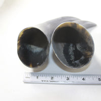 4 Raw Unfinished Cow Horns #8536 Natural Colored