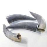 4 Raw Unfinished Cow Horns #9839 Natural Colored