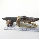 Alligator  Head Handle Stone Blade Ornamental Knife #v473-2 Mountain Man Knife