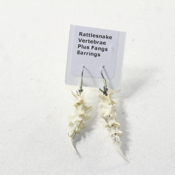Rattlesnake Fang Plus Vertebrae Earrings  #493-2  Mountain Man Earrings