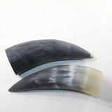 2 Raw Unfinished Cow Horns #9836 Natural Colored