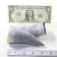 2 Raw Unfinished Cow Horn Tips #9041 Natural Colored