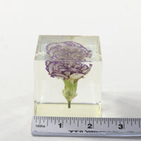 1 Carnation Specimen Paperweight Cube.  #173-1