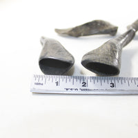 4 Small Polished Goat Horns #8238 Natural colored
