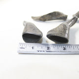 4 Small Polished Goat Horns #8238 Natural colored