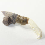 Raccoon Jaw Handle Stone Blade Ornamental Knife #13641 Mountain Man Knife