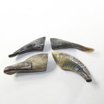 4 Small Polished Goat Horns #0438 Natural colored