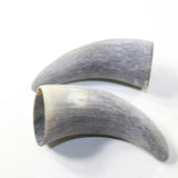 2 Raw Unfinished Cow Horn Tips #3742 Natural Colored