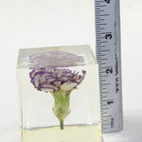 1 Carnation Specimen Paperweight Cube.  #173-1