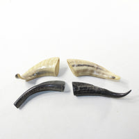4 Small Polished Goat Horns #7241 Natural colored