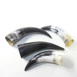 4 Small Polished Cow Horns #733-1 Natural colored