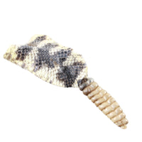 Rattlesnake Rattle With Skin Attached  #3054       Taxidermy Diamondback Sidewinder