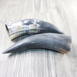2 Raw Unfinished Cow Horns #9155     Natural Colored