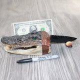 Alligator Head Handle Obsidian Blade Ornamental Knife #7763  Mountain Man Knife
