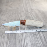 Elk Antler Handle Opalite Blade Ornamental Knife #8763     Mountain Man Knife