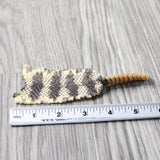 Rattlesnake Rattle With Skin Attached  #6155       Taxidermy Diamondback Sidewinder