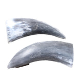 2 Small Raw Unfinished Cow Horns #1155    Natural Colored a