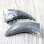 2 Small Raw Unfinished Cow Horns #1155    Natural Colored
