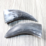 2 Small Raw Unfinished Cow Horns #1155    Natural Colored a