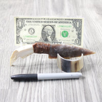Beaver Jaw Handle Stone Blade Ornamental Knife #82955    Mountain Man Knife