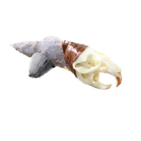 Muskrat Skull Handle Stone Blade Ornamental Knife #0655    Mountain Man Knife