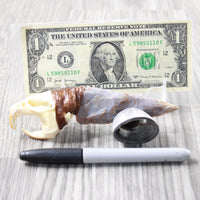 Muskrat Skull Handle Stone Blade Ornamental Knife #0655    Mountain Man Knife