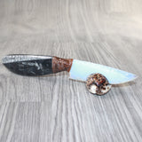 Orthoceras Fossil Handle Opalite Blade Ornamental Knife #0963     Mountain Man Knife