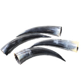 4 Polished Cow Horns #9655    Natural colored a