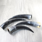 4 Polished Cow Horns #9655    Natural colored