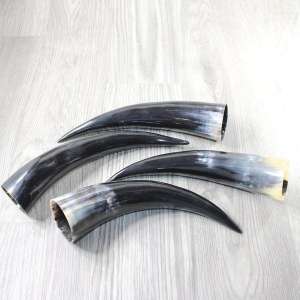 4 Polished Cow Horns #9655    Natural colored
