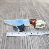 Muskrat Skull Handle Opalite Blade Ornamental Knife #3263     Mountain Man Knife