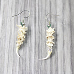 Rattlesnake Fangs Plus Vertebrae  Earrings  #4955  Mountain Man Earrings