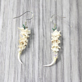 Rattlesnake Fangs Plus Vertebrae  Earrings  #4955  Mountain Man Earrings
