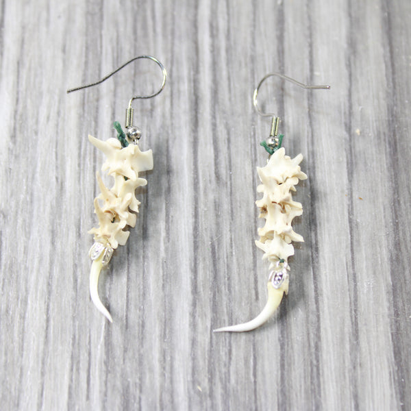 Rattlesnake Fangs Plus Vertebrae  Earrings  #4955  Mountain Man Earrings