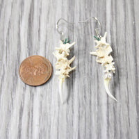Rattlesnake Fangs Plus Vertebrae  Earrings  #4955  Mountain Man Earrings