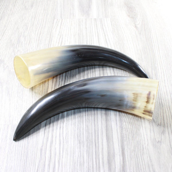 2 Polished Cow Horns #1055    Natural colored