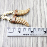 Rattlesnake Rattle Plus Vertebrae Earrings  #4055  Mountain Man Earrings