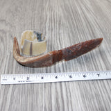 Goat Horn Handle Stone Blade Ornamental Knife #2563    Mountain Man Knife