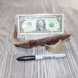 Goat Horn Handle Stone Blade Ornamental Knife #2563    Mountain Man Knife