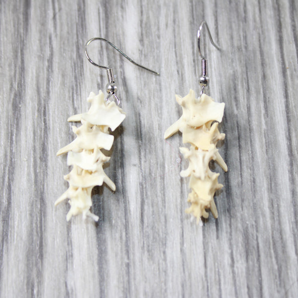 Rattlesnake Vertebrae  Earrings  #6255  Mountain Man Earrings