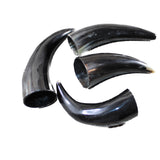 4 Small Polished Cow Horns #8045 Natural colored x