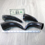 4 Small Polished Cow Horns #8045 Natural colored x