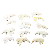 14 Craft Grade Beaver Jaws. #6355